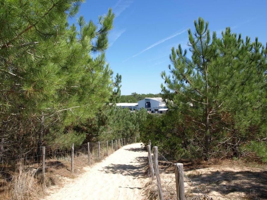 Cap-ocean Cap Ferret Appartement Lège-Cap-Ferret